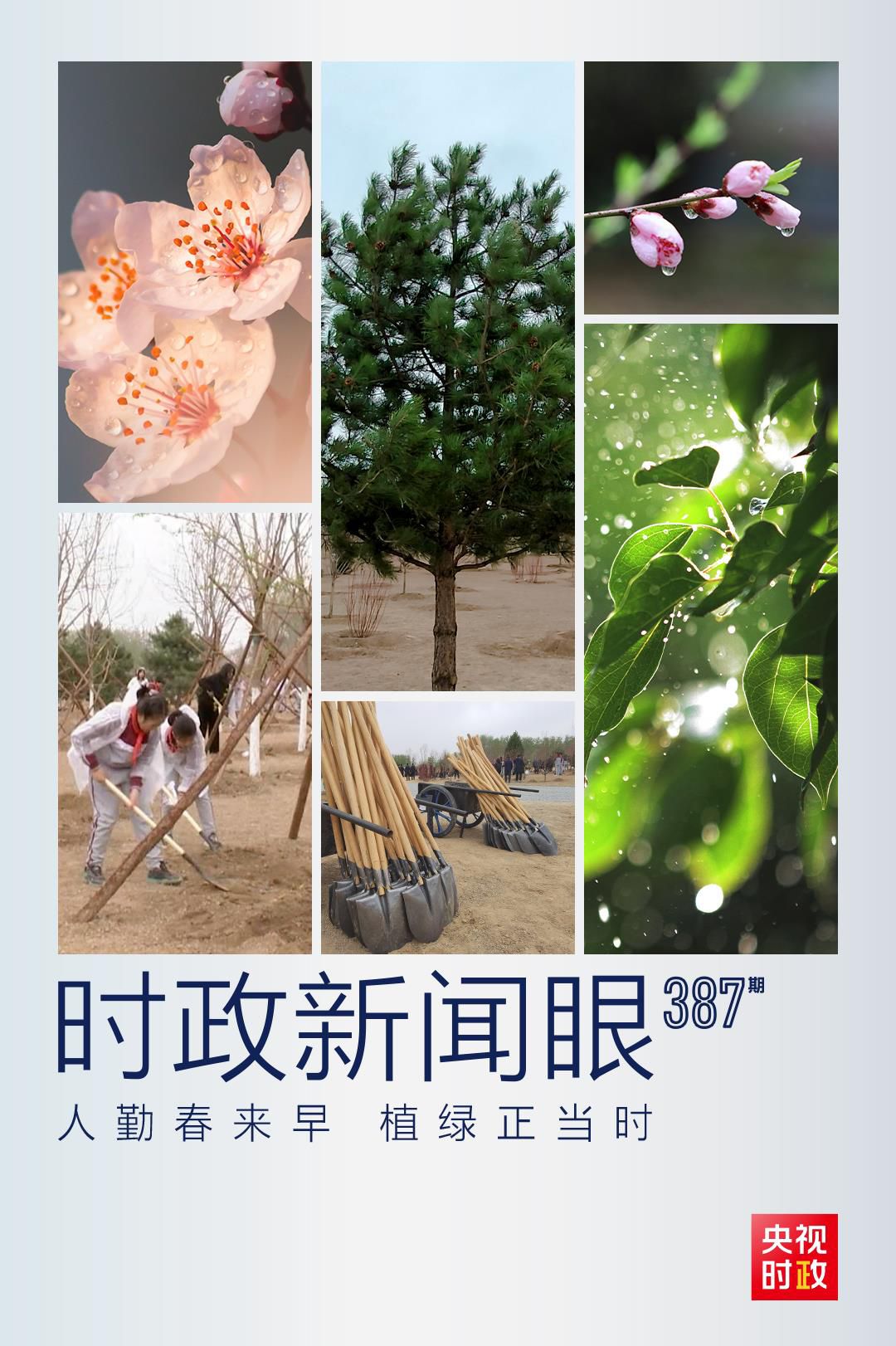 在今年首都義務(wù)植樹現(xiàn)場，習(xí)近平這三句話飽含深意